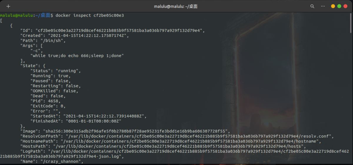 Python開發(fā)加薪利器之Docker的使用實(shí)踐