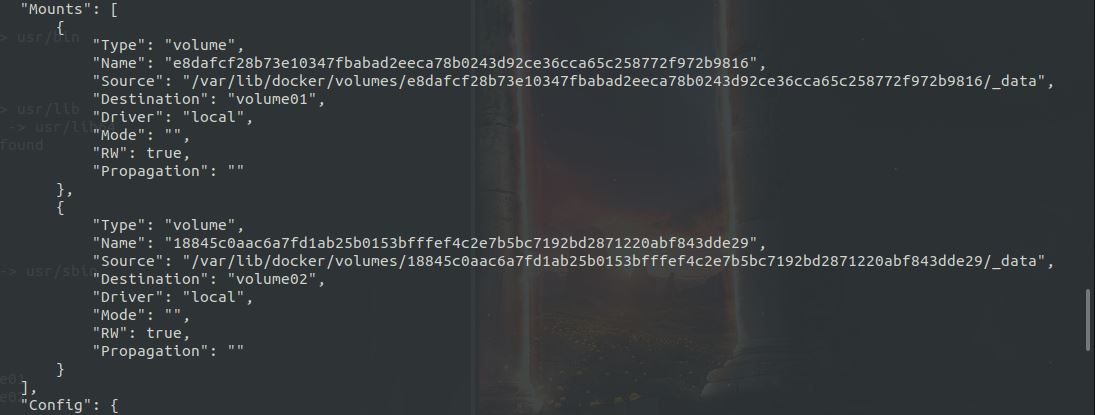 Python開發(fā)加薪利器之Docker的使用實(shí)踐