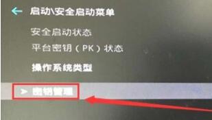 Win11安全啟動如何打開？Win11安全啟動打開的方法