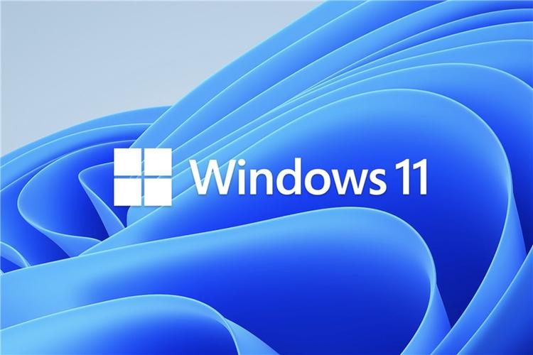 Win11預(yù)覽版和正式版有什么區(qū)別？預(yù)覽版可以升級正式版嗎？
