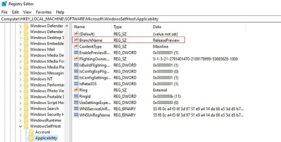 Win11無(wú)法升級(jí)怎么辦？如何繞開(kāi)微軟限制升級(jí)Win11？