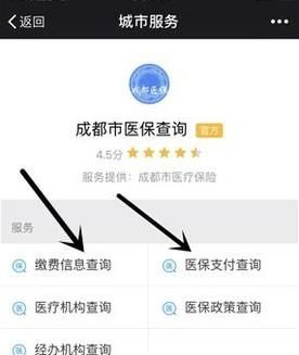 不用關(guān)注,微信直接查詢社保(醫(yī)保)余額/繳費