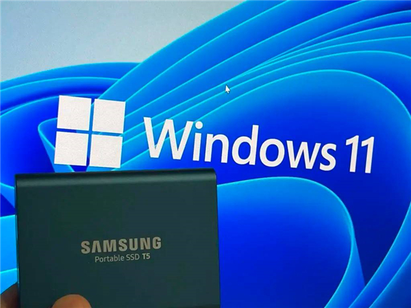 怎么在Windows11中備份文件并降級回Windows10？
