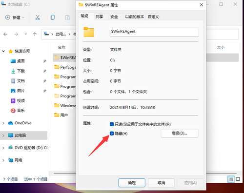 Win11如何查看所隱藏的文件？Win11查看隱藏的文件的方法