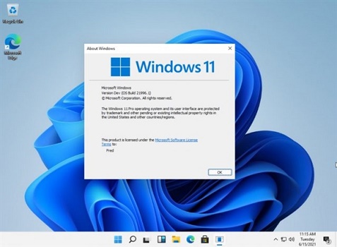 Win11重置失敗怎么辦？Win11重置失敗解決方法