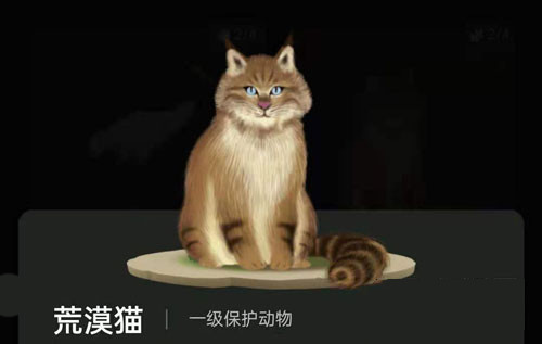 螞蟻森林里的小動(dòng)物怎么獲得?螞蟻森林里的小動(dòng)物有哪些?