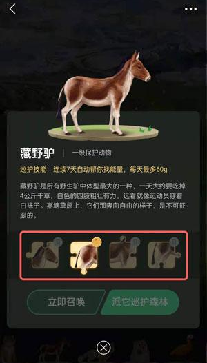 螞蟻森林里的小動(dòng)物怎么獲得?螞蟻森林里的小動(dòng)物有哪些?