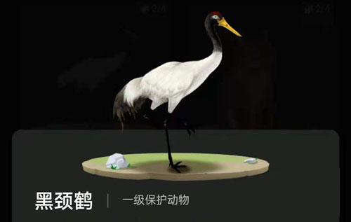 螞蟻森林里的小動(dòng)物怎么獲得?螞蟻森林里的小動(dòng)物有哪些?