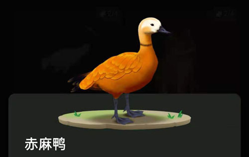 螞蟻森林里的小動(dòng)物怎么獲得?螞蟻森林里的小動(dòng)物有哪些?