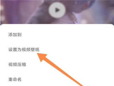 小紅書怎么設(shè)置動態(tài)壁紙