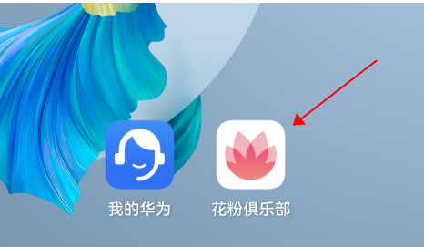 花粉俱樂部怎樣申請鴻蒙內(nèi)測?花粉俱樂部鴻蒙內(nèi)測申請步驟