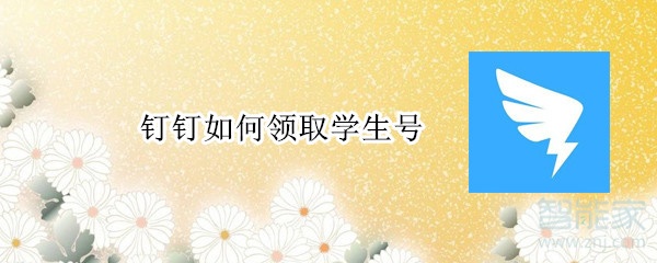 釘釘如何領(lǐng)取學(xué)生號(hào)
