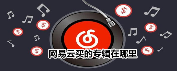 網(wǎng)易云買(mǎi)的專輯在哪里