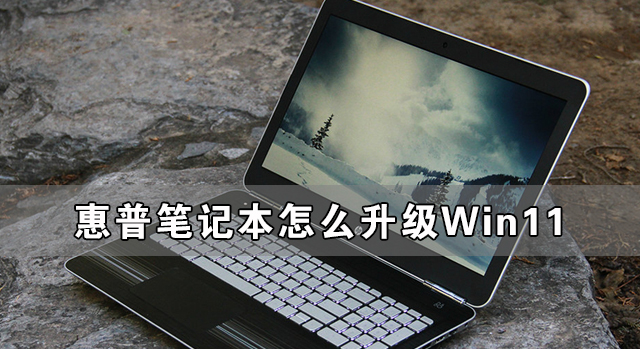 惠普筆記本怎么升級Win11 惠普筆記本升級Win11詳細(xì)教程