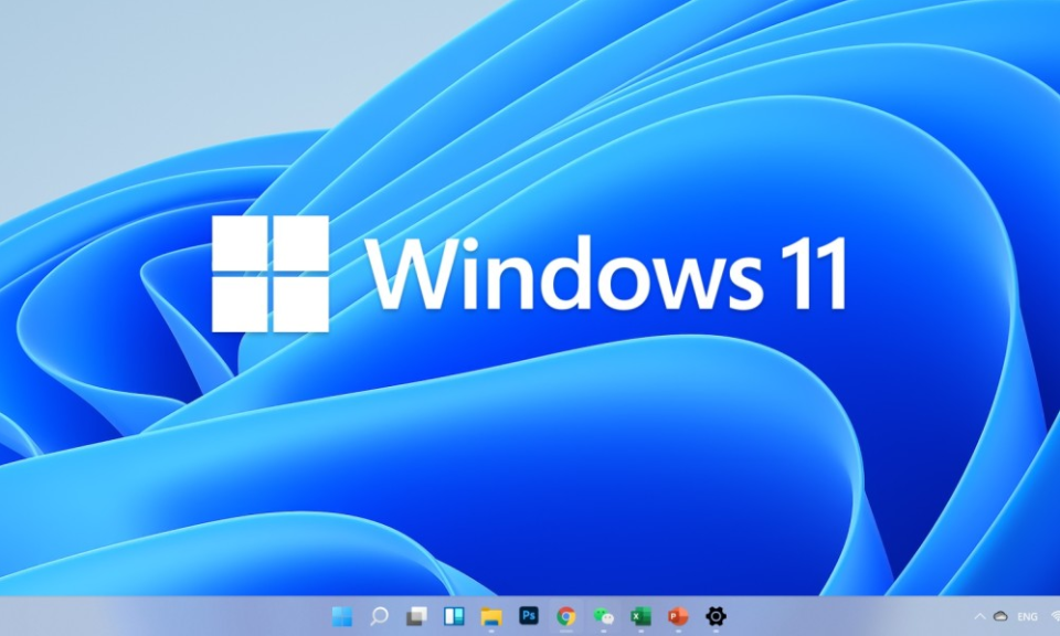 Win11測試版在哪下載？微軟Win11預覽版下載地址分享
