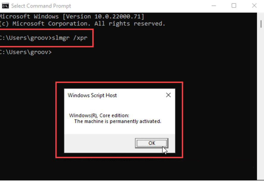 Win11系統怎么查看系統激活狀態?