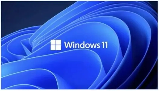 Win11更新完出現(xiàn)閃屏怎么解決？Win11閃屏解決方法