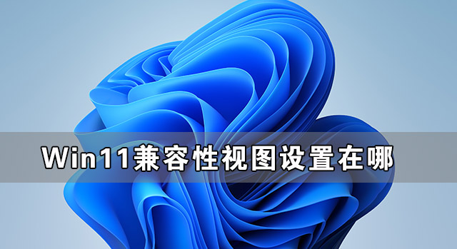 Win11兼容性視圖設(shè)置在哪 Win11網(wǎng)頁兼容性怎么設(shè)置