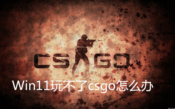 Win11玩不了csgo怎么辦？Win11玩不了csgo的解決方法
