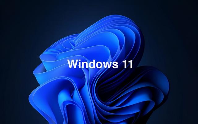 Win11專業(yè)版和家庭版哪個(gè)好用?Win11專業(yè)版和家庭版對(duì)比