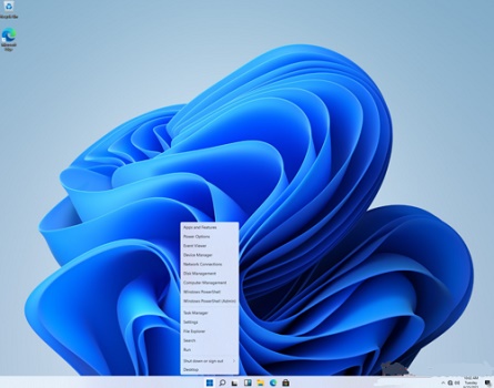 Win11如何去除快速搜索功能？