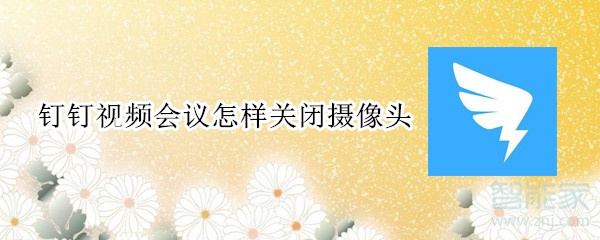 釘釘視頻會(huì)議怎樣關(guān)閉攝像頭