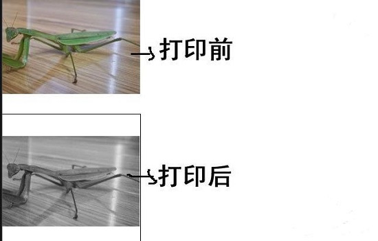 Win10打印圖片沒打印全怎么辦？
