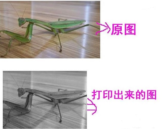 Win10打印圖片沒打印全怎么辦？