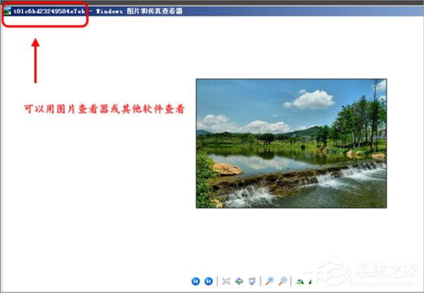 WinXP縮略圖不顯示文件名怎么辦？