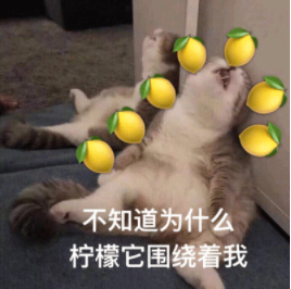QQ一起聽歌是什么？「一起聽歌」功能開啟方法分享