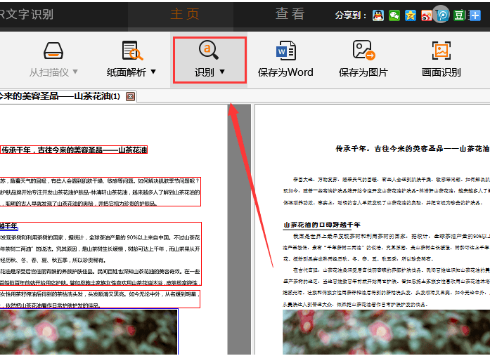 捷速OCR文字識別軟件怎么把PDF圖片轉為Word文字？PDF圖片轉為Word文字步驟一覽