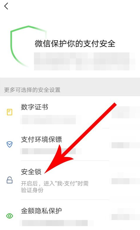 微信APP怎么設置支付安全鎖？設置支付安全鎖方法講解