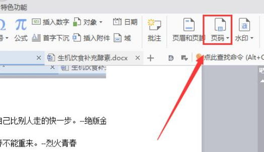 wps2007如何插入頁碼?wps2007插入頁碼圖文介紹