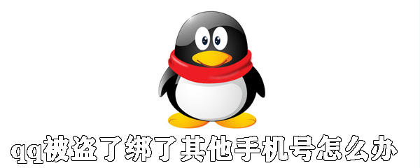 qq被盜了綁了其他手機號怎么辦？qq號被盜找回方法解析