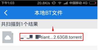 bt種子文件可以用百度云打開(kāi)嗎？打開(kāi)bt種子的方法分享