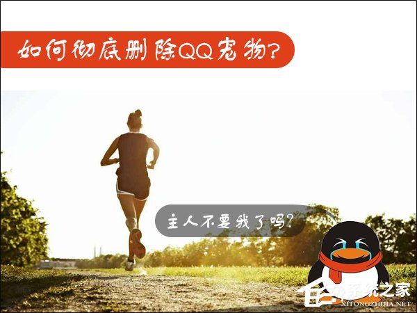Win7如何卸載QQ寵物？關(guān)閉QQ寵物自動(dòng)登錄的方法