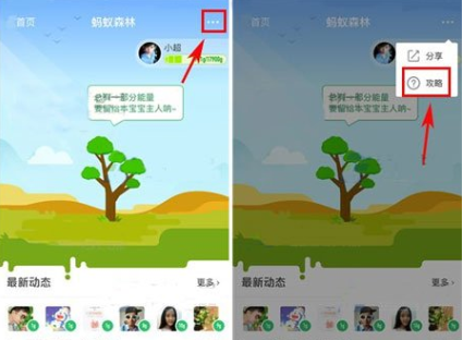 在支付寶里怎么將行走捐打開(kāi)？將行走捐打開(kāi)的步驟一覽
