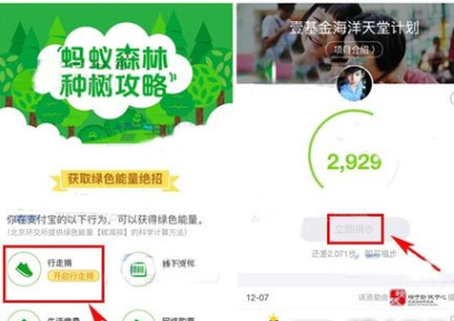在支付寶里怎么將行走捐打開(kāi)？將行走捐打開(kāi)的步驟一覽
