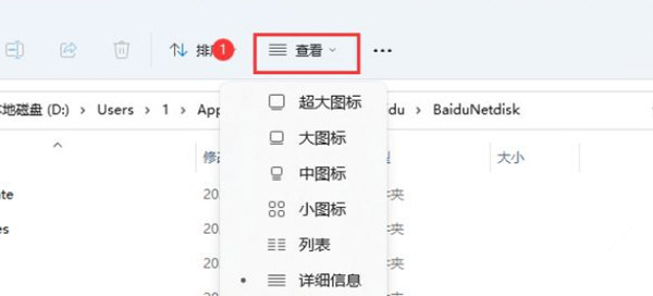 Win11如何展示文件擴(kuò)展名？Win11展示文件擴(kuò)展名的方法
