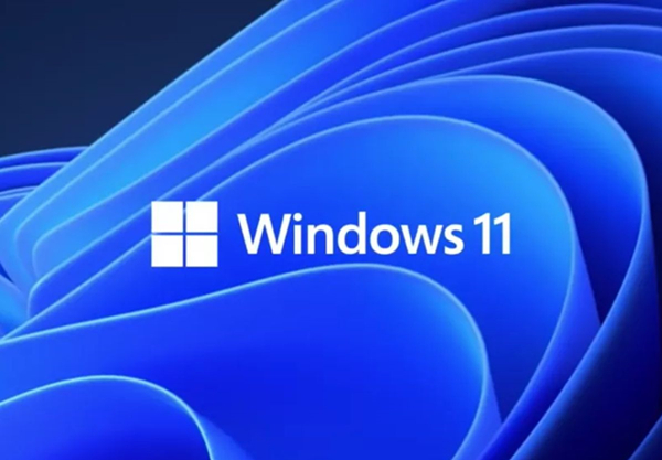 Win11的更新文件在哪里？Win11更新文件的位置