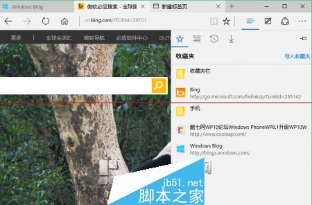 win10正式版Edge瀏覽器收藏夾在什么位置?收藏夾具體位置說(shuō)明