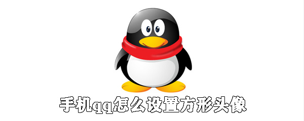 手機qq如何設置方形頭像？qq方形頭像設置步驟一覽