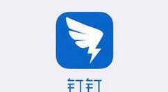 釘釘如何添加驗(yàn)證？添加驗(yàn)證的方法說(shuō)明