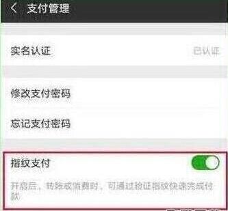 榮耀20手機微信指紋支付如何設(shè)置?微信指紋支付設(shè)置方法分享