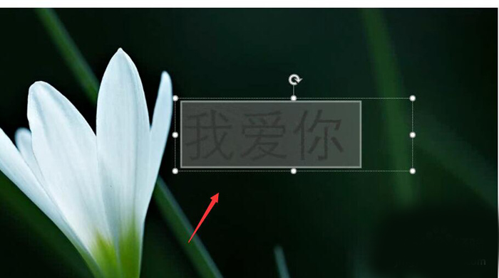 使用PPT制作出動(dòng)態(tài)文字具體操作流程