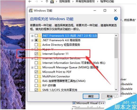 Win10系統(tǒng)怎么卸載IE瀏覽器？Win10系統(tǒng)卸載IE瀏覽器教程