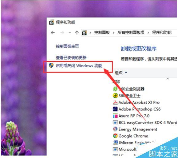 Win10系統(tǒng)怎么卸載IE瀏覽器？Win10系統(tǒng)卸載IE瀏覽器教程