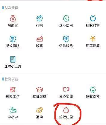 支付寶養雞的好處是什么？支付寶養雞在哪里養？