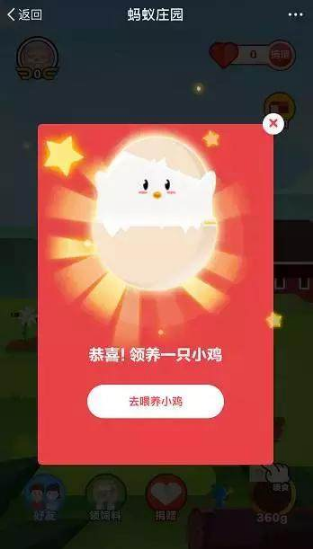 支付寶養雞的好處是什么？支付寶養雞在哪里養？