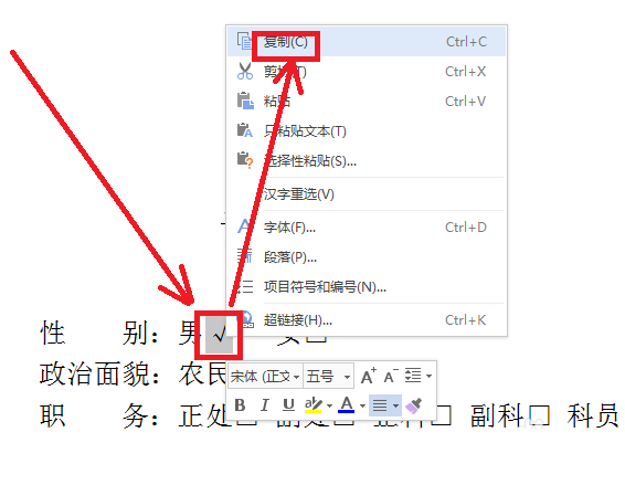 wps中方框內(nèi)打勾的詳細操作流程